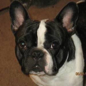 Meet your Posher, Simone